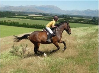 Cavalcate in campagna 